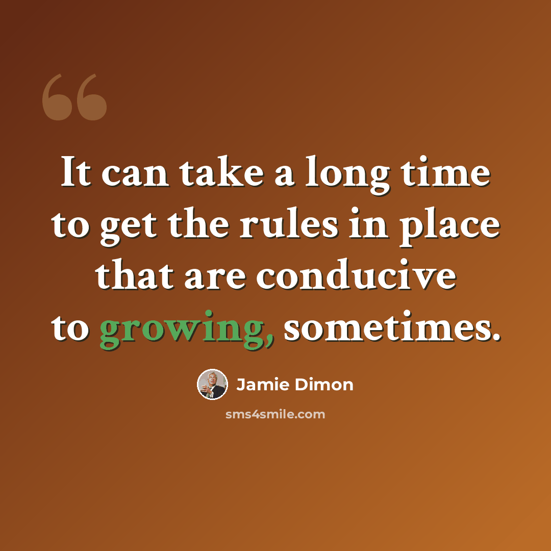 “It can take a long time to get the rules in place that are conducive to growing, sometimes.” quote by Jamie Dimon