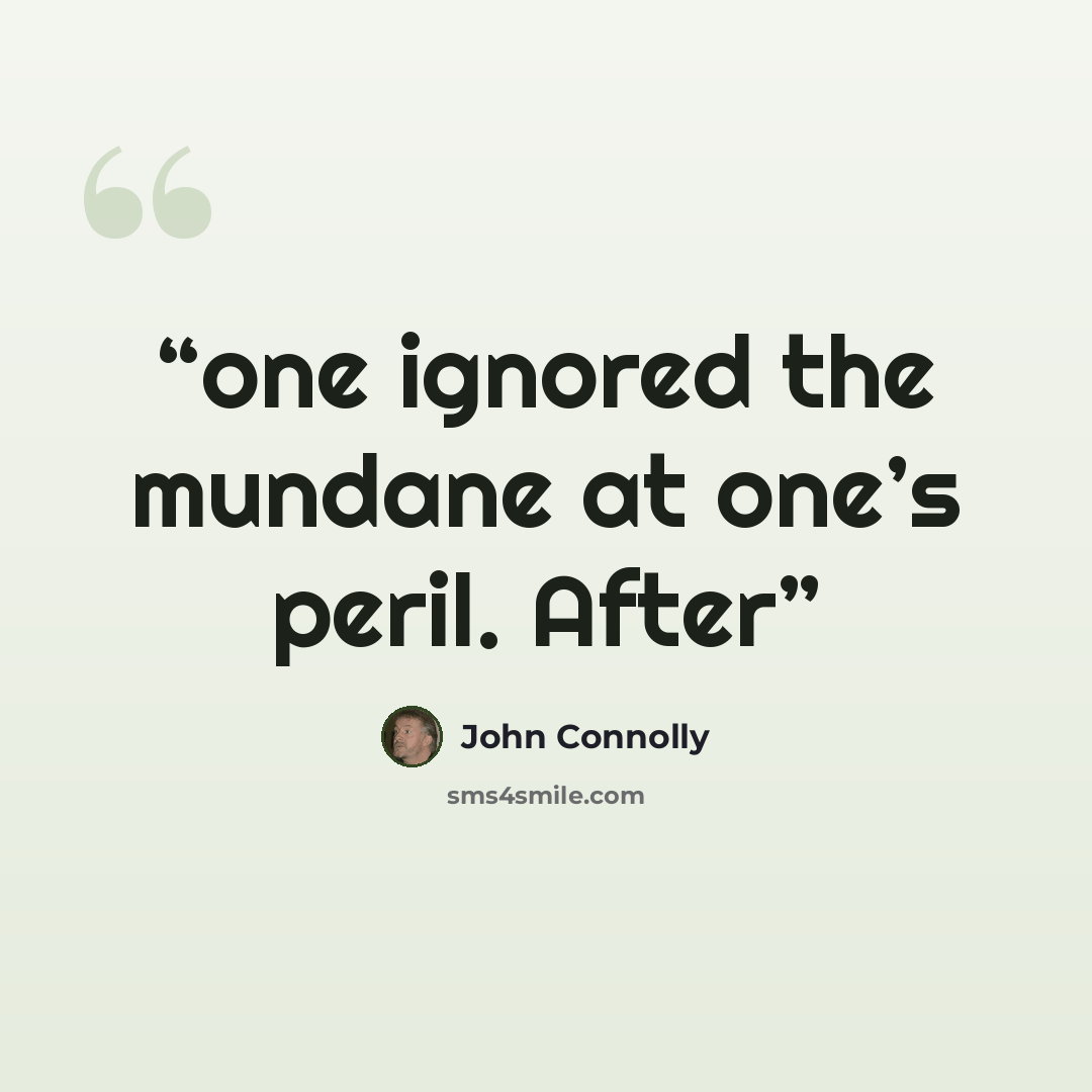 “one ignored the mundane at one’s peril. After” quote by John Connolly