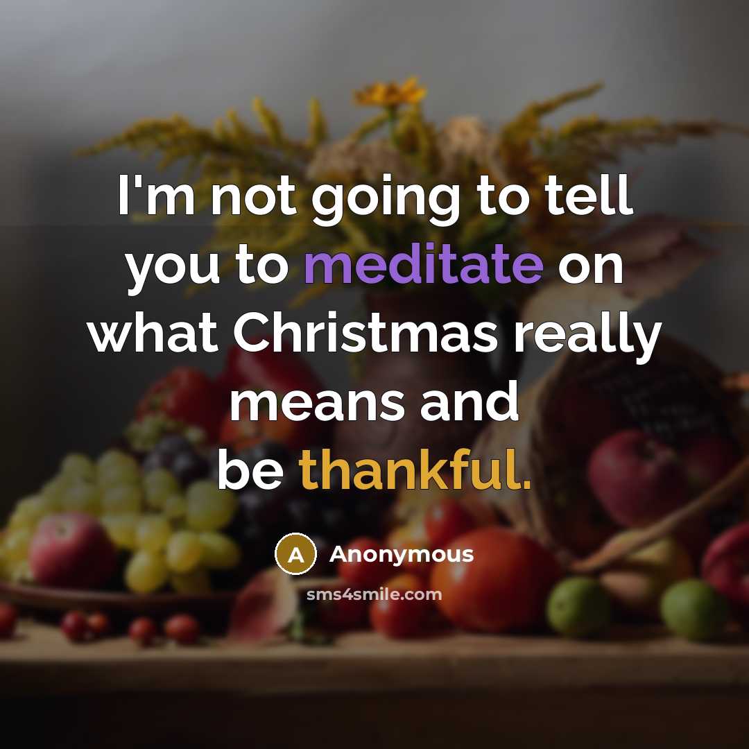 “I'm not going to tell you to meditate on what Christmas really means and be thankful.” quote by Anonymous