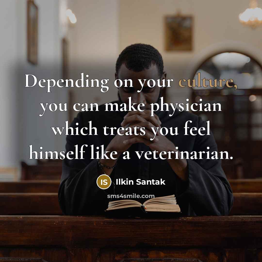 “Depending on your culture, you can make physician which treats you feel himself like a veterinarian.” quote by Ilkin Santak