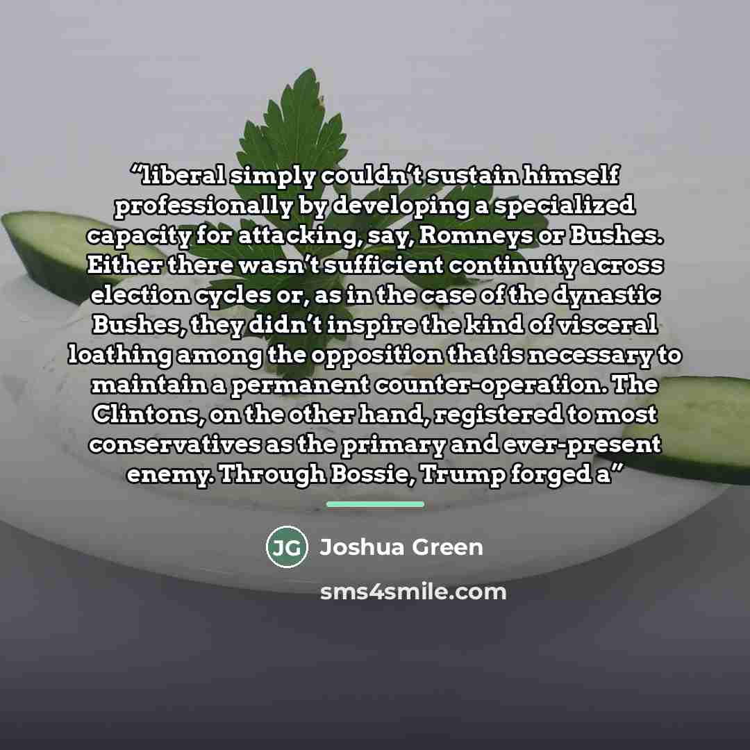 “liberal simply couldn’t sustain himself professionally by developing a specialized capacity for attacking, say, Romneys or Bushes. Either there wasn’t sufficient continuity across election cycles or, as in the case of the dynastic Bushes, they didn’t inspire the kind of visceral loathing among the…” quote by Joshua Green