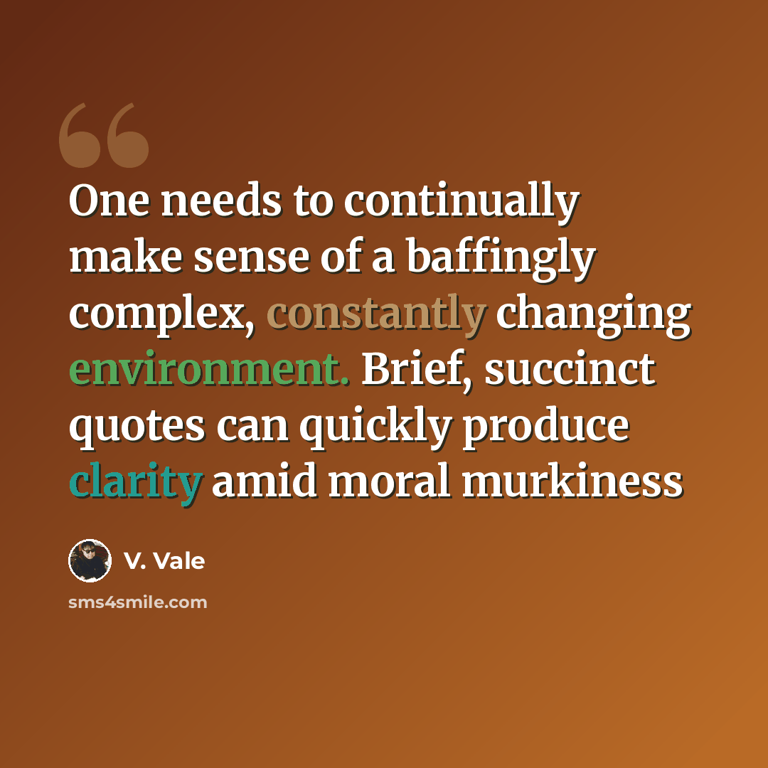 “One needs to continually make sense of a baffingly complex, constantly changing environment. Brief, succinct quotes can quickly produce clarity amid moral murkiness” quote by V. Vale