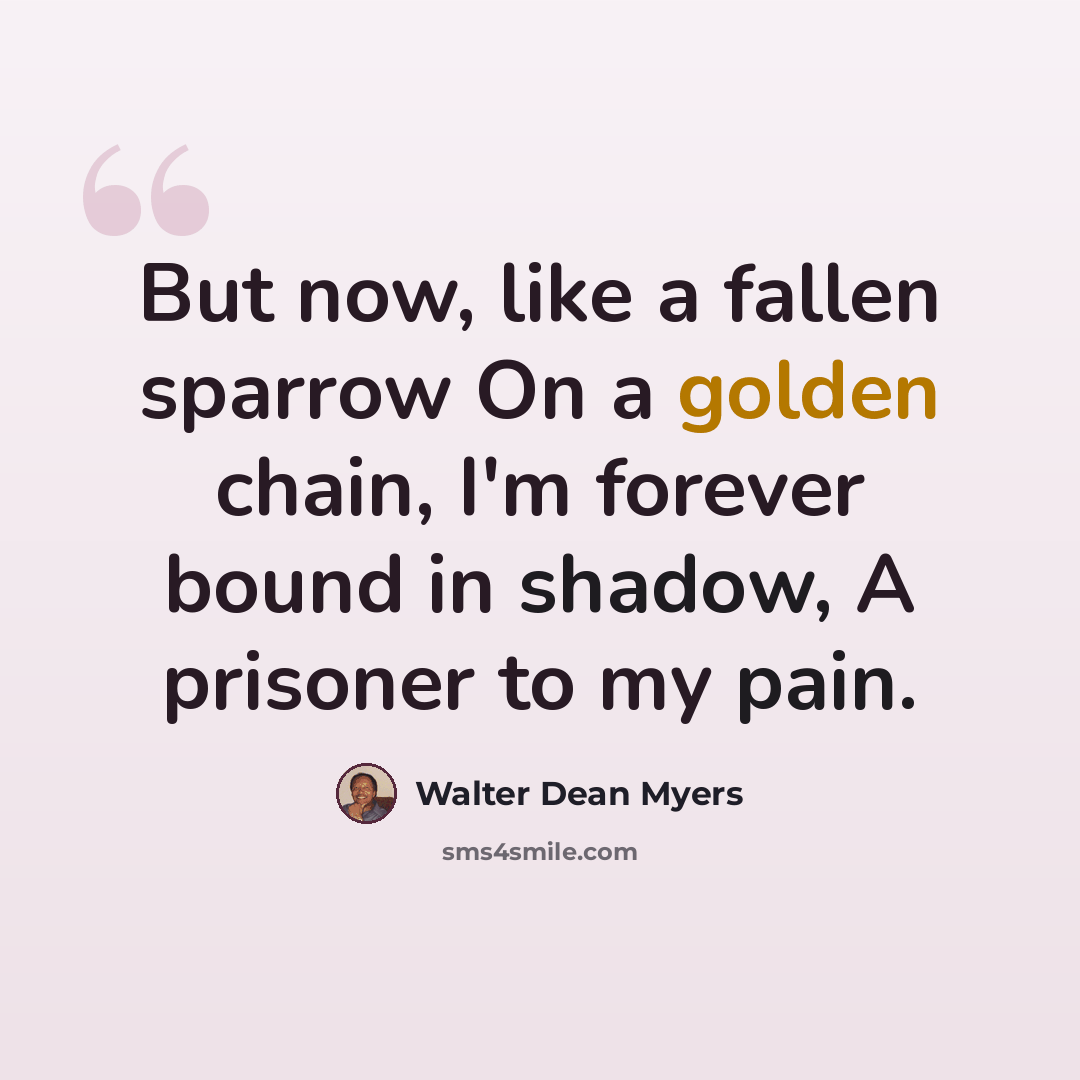 “But now, like a fallen sparrow On a golden chain, I'm forever bound in shadow, A prisoner to my pain.” quote by Walter Dean Myers