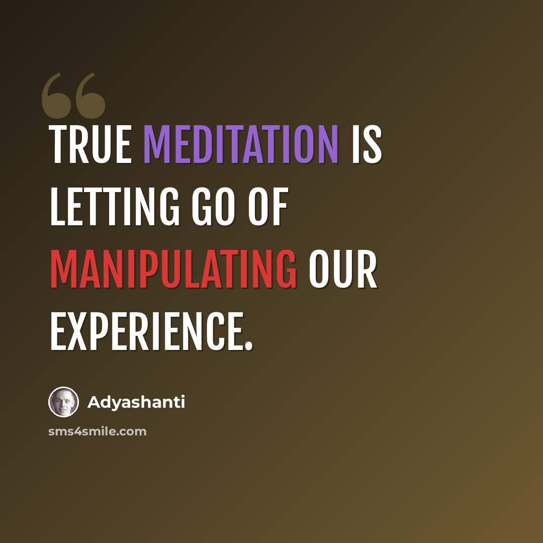 “True meditation is letting go of manipulating our experience.” quote by Adyashanti