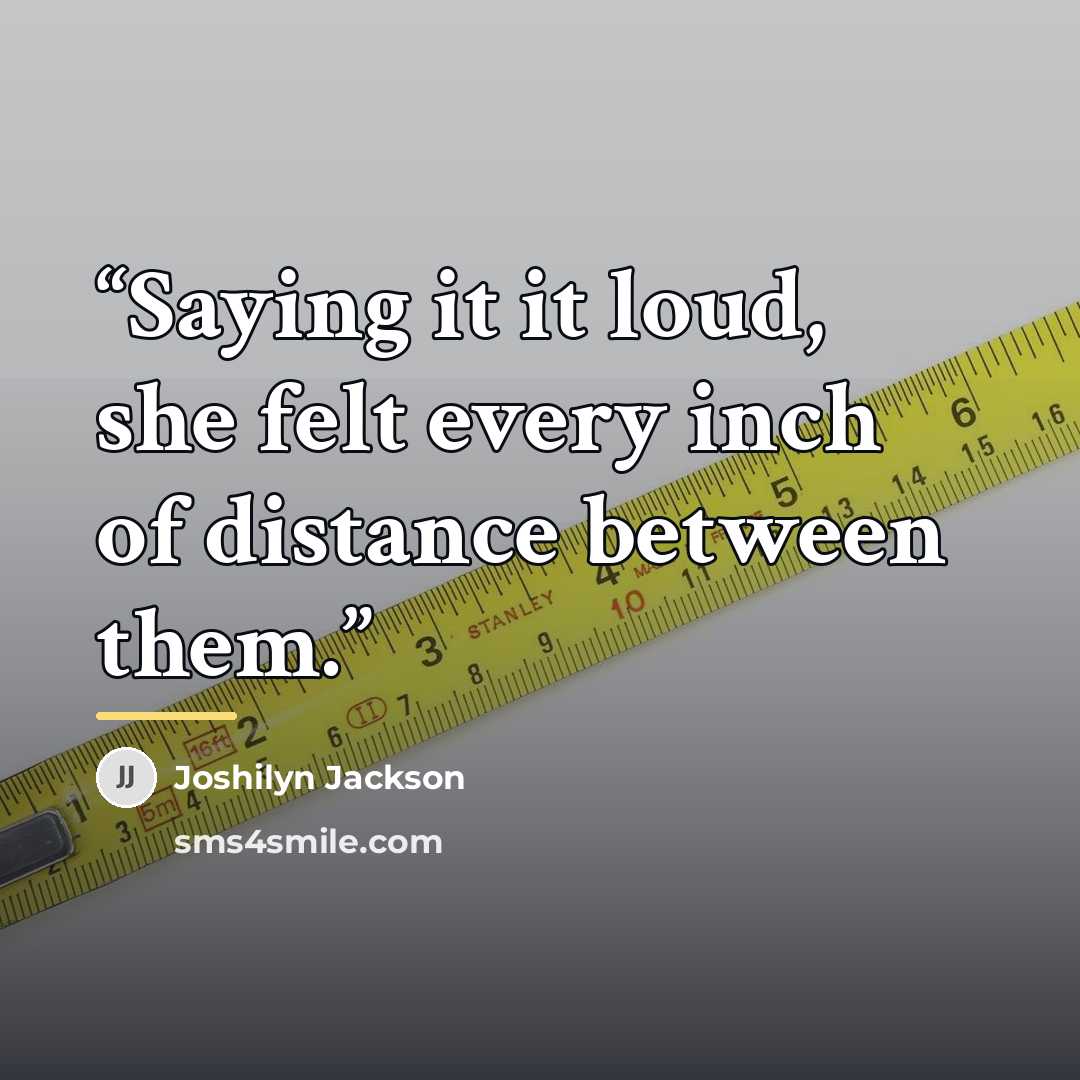 “Saying it it loud, she felt every inch of distance between them.” quote by Joshilyn Jackson