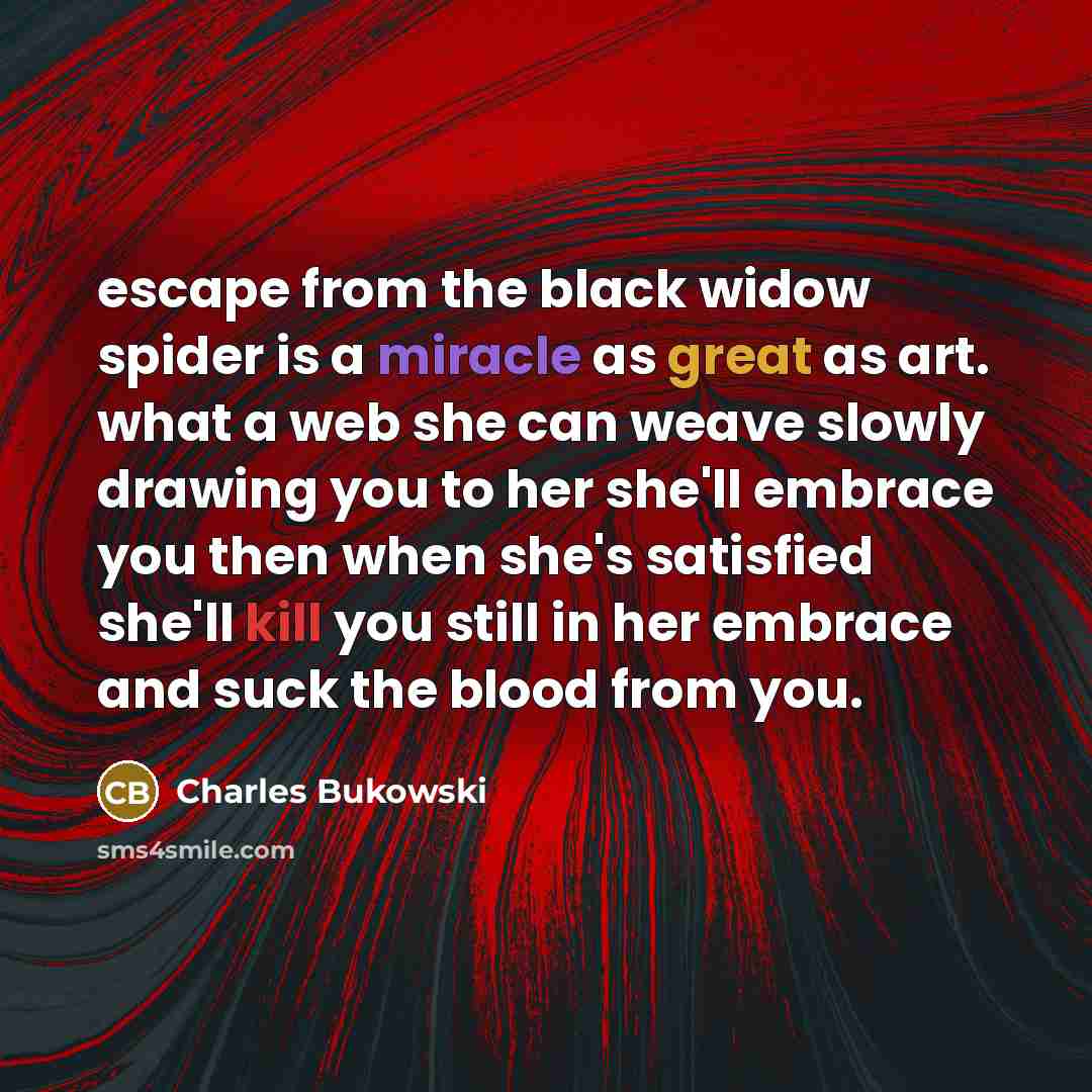 “escape from the black widow spider is a miracle as great as art. what a web she can weave slowly drawing you to her she'll embrace you then when she's satisfied she'll kill you still in her embrace and suck the blood from you.” quote by Charles Bukowski