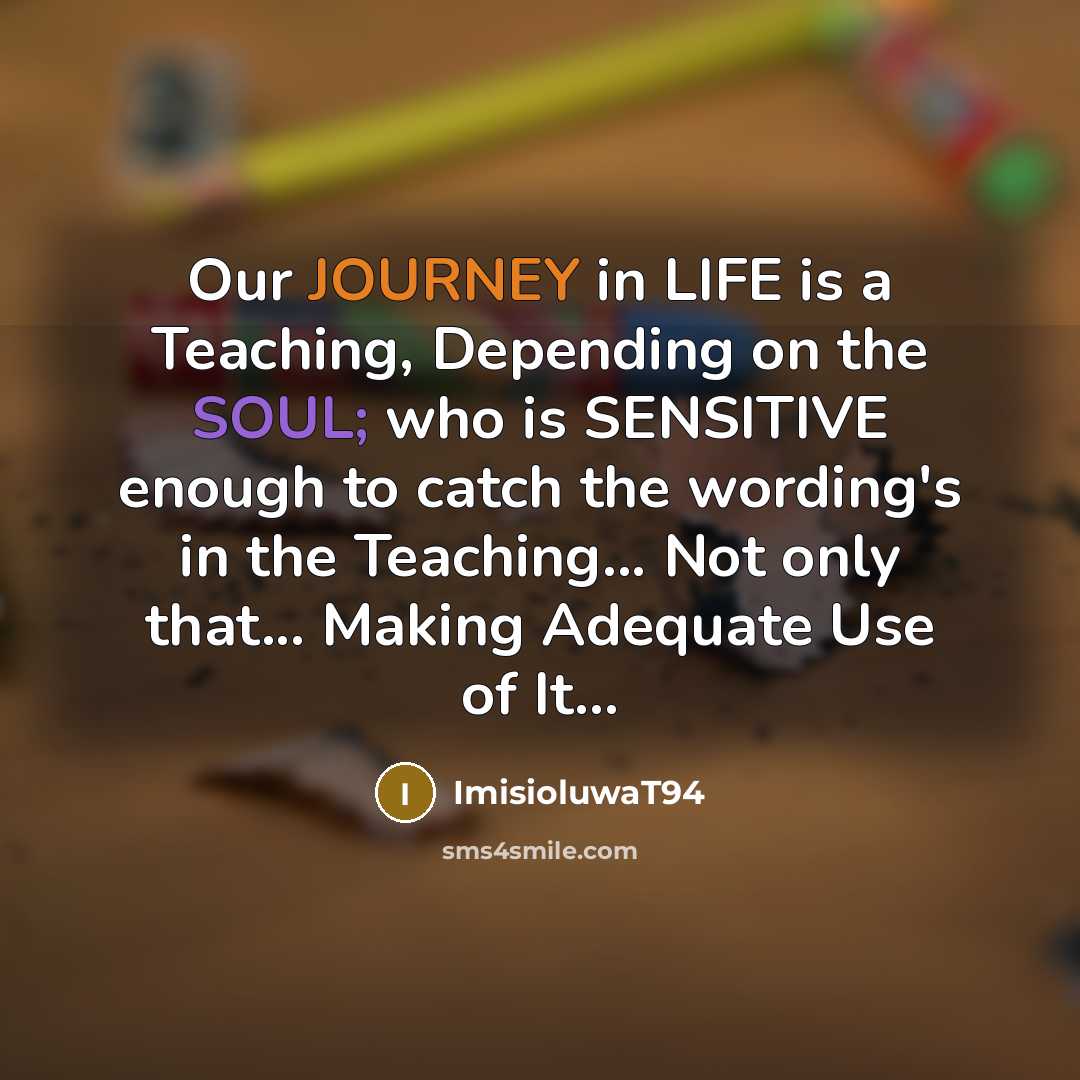 “Our JOURNEY in LIFE is a Teaching, Depending on the SOUL; who is SENSITIVE enough to catch the wording's in the Teaching... Not only that... Making Adequate Use of It...” quote by ImisioluwaT94