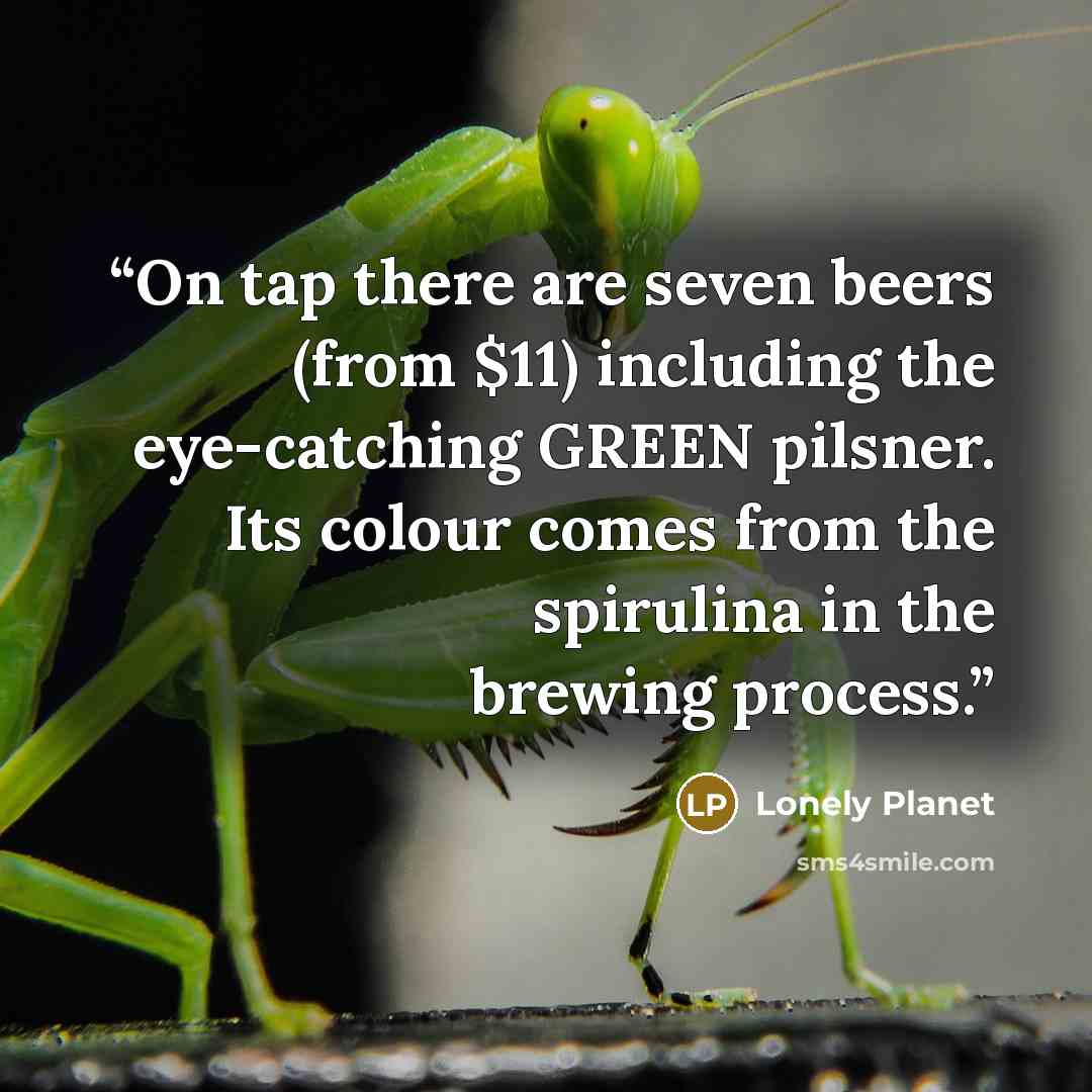 “On tap there are seven beers (from $11) including the eye-catching GREEN pilsner. Its colour comes from the spirulina in the brewing process.” quote by Lonely Planet