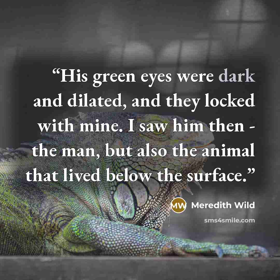 “His green eyes were dark and dilated, and they locked with mine. I saw him then - the man, but also the animal that lived below the surface.” quote by Meredith Wild