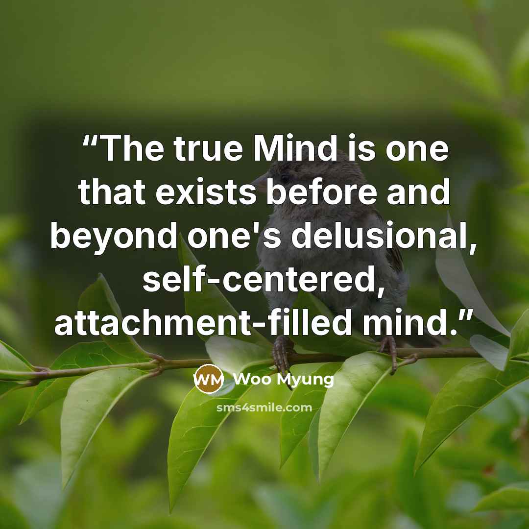 “The true Mind is one that exists before and beyond one's delusional, self-centered, attachment-filled mind.” quote by Woo Myung