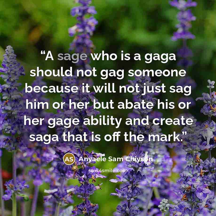 “A sage who is a gaga should not gag someone because it will not just sag him or her but abate his or her gage ability and create saga that is off the mark.” quote by Anyaele Sam Chiyson
