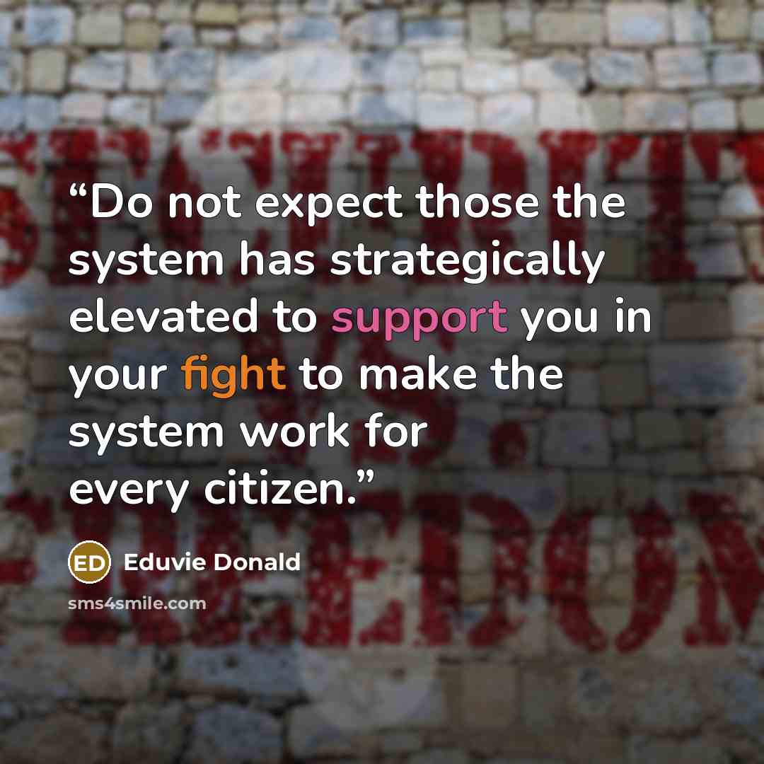 “Do not expect those the system has strategically elevated to support you in your fight to make the system work for every citizen.” quote by Eduvie Donald