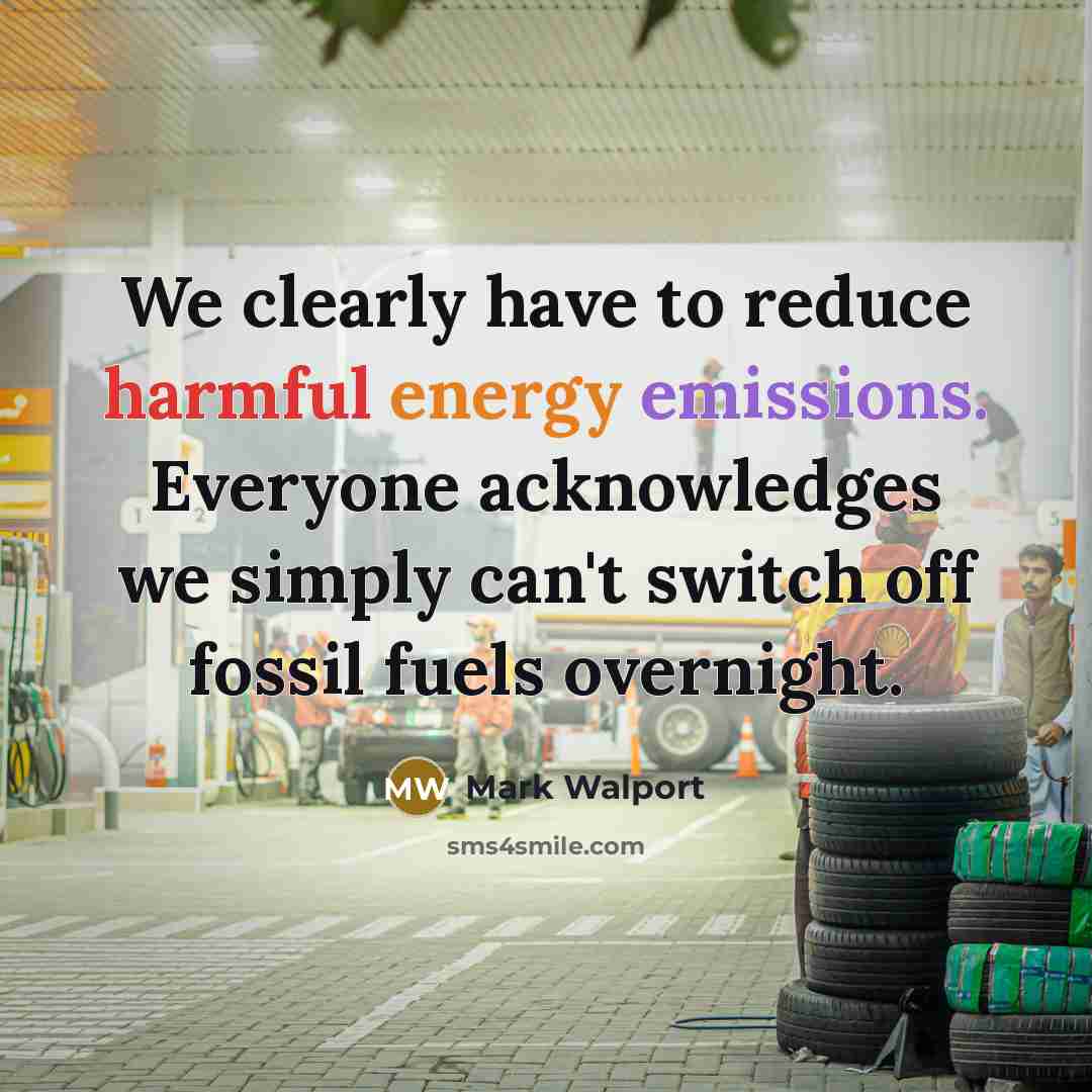 “We clearly have to reduce harmful energy emissions. Everyone acknowledges we simply can't switch off fossil fuels overnight.” quote by Mark Walport
