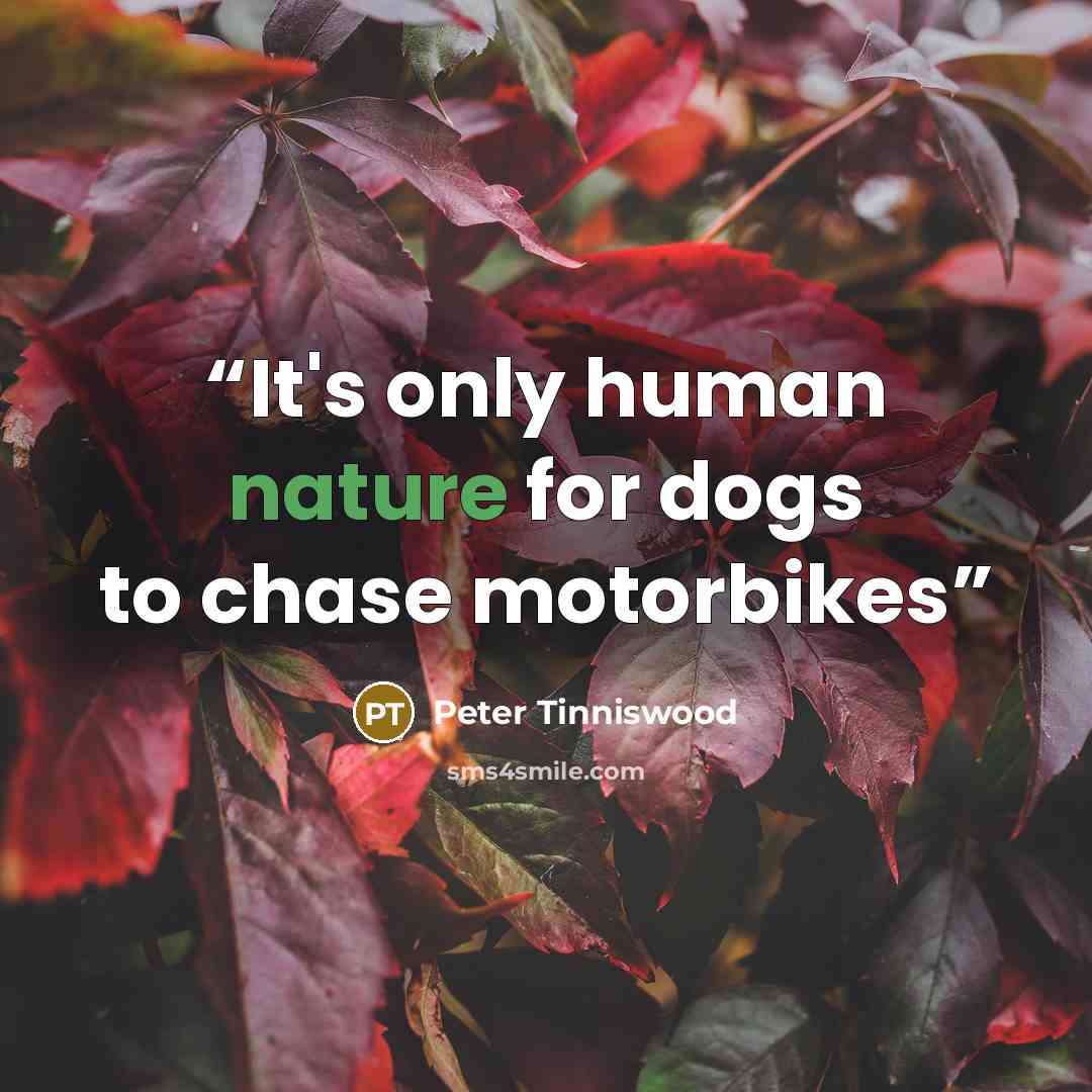 “It's only human nature for dogs to chase motorbikes” quote by Peter Tinniswood