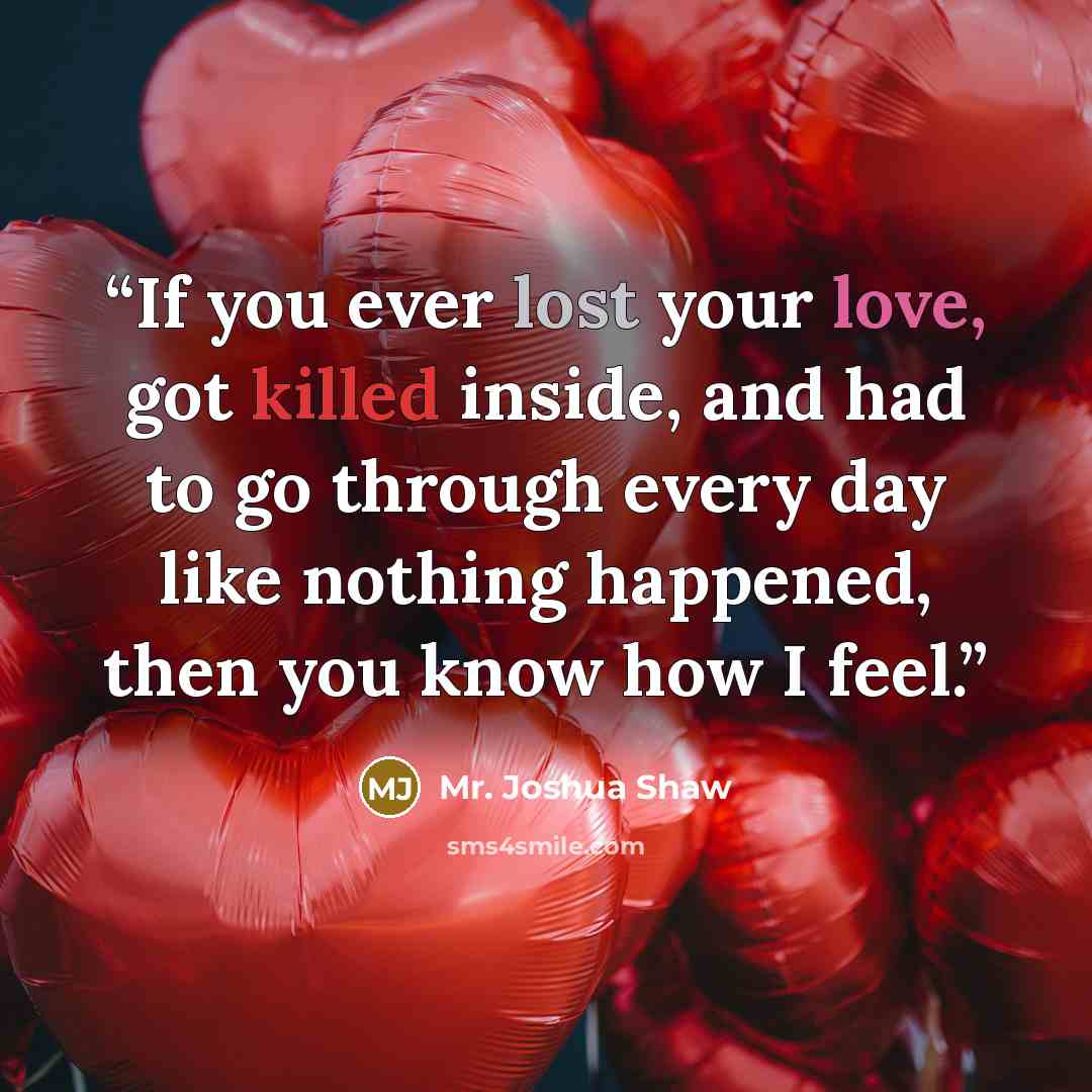 “If you ever lost your love, got killed inside, and had to go through every day like nothing happened, then you know how I feel.” quote by Mr. Joshua Shaw