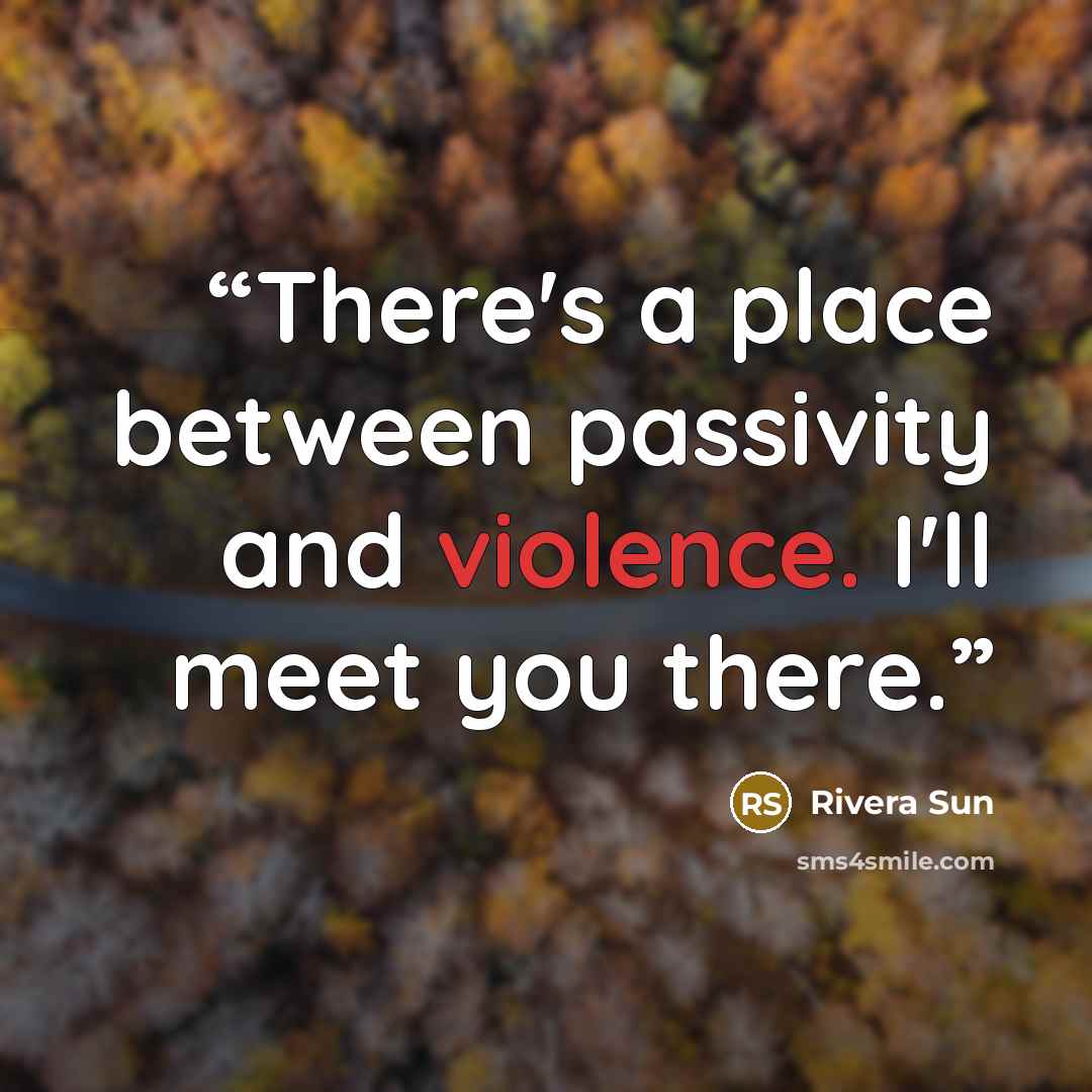 “There's a place between passivity and violence. I'll meet you there.” quote by Rivera Sun