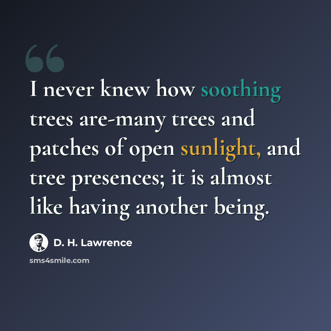 “I never knew how soothing trees are-many trees and patches of open sunlight, and tree presences; it is almost like having another being.” quote by D. H. Lawrence