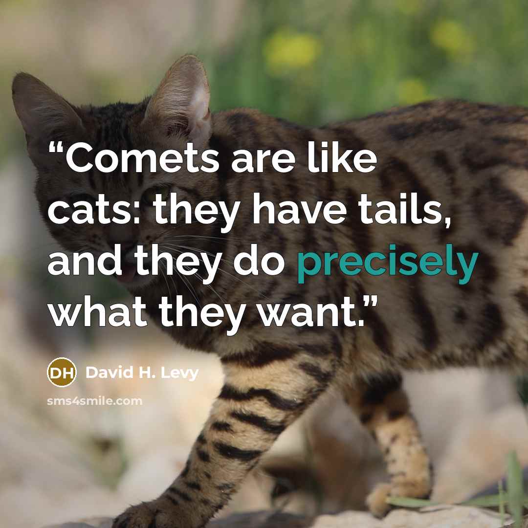 “Comets are like cats: they have tails, and they do precisely what they want.” quote by David H. Levy