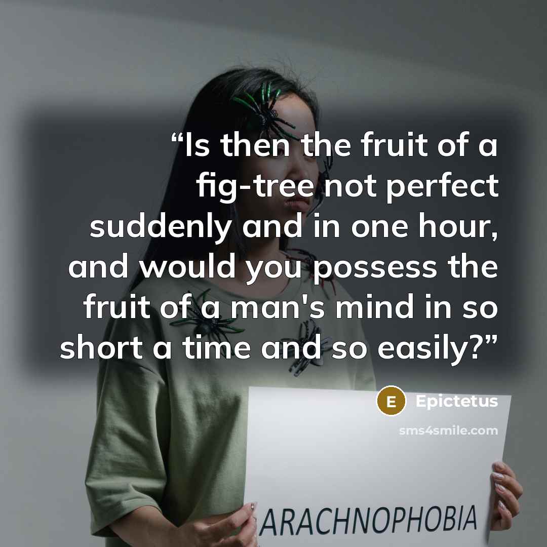 “Is then the fruit of a fig-tree not perfect suddenly and in one hour, and would you possess the fruit of a man's mind in so short a time and so easily?” quote by Epictetus