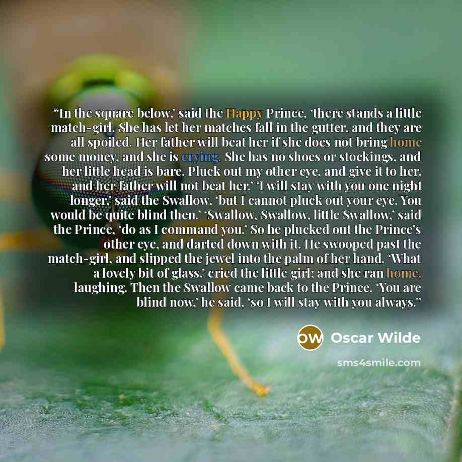 “In the square below,’ said the Happy Prince, ‘there stands a little match-girl. She has let her matches fall in the gutter, and they are all spoiled. Her father will beat her if she does not bring home some money, and she is crying. She has no shoes or stockings, and her little head is bare. Pluck…” quote by Oscar Wilde