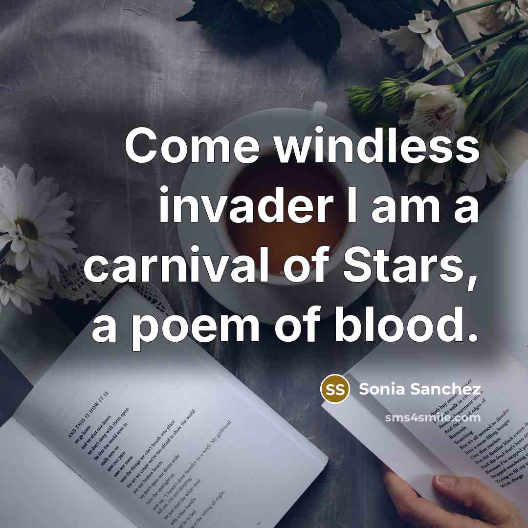 “Come windless invader I am a carnival of Stars, a poem of blood.” quote by Sonia Sanchez