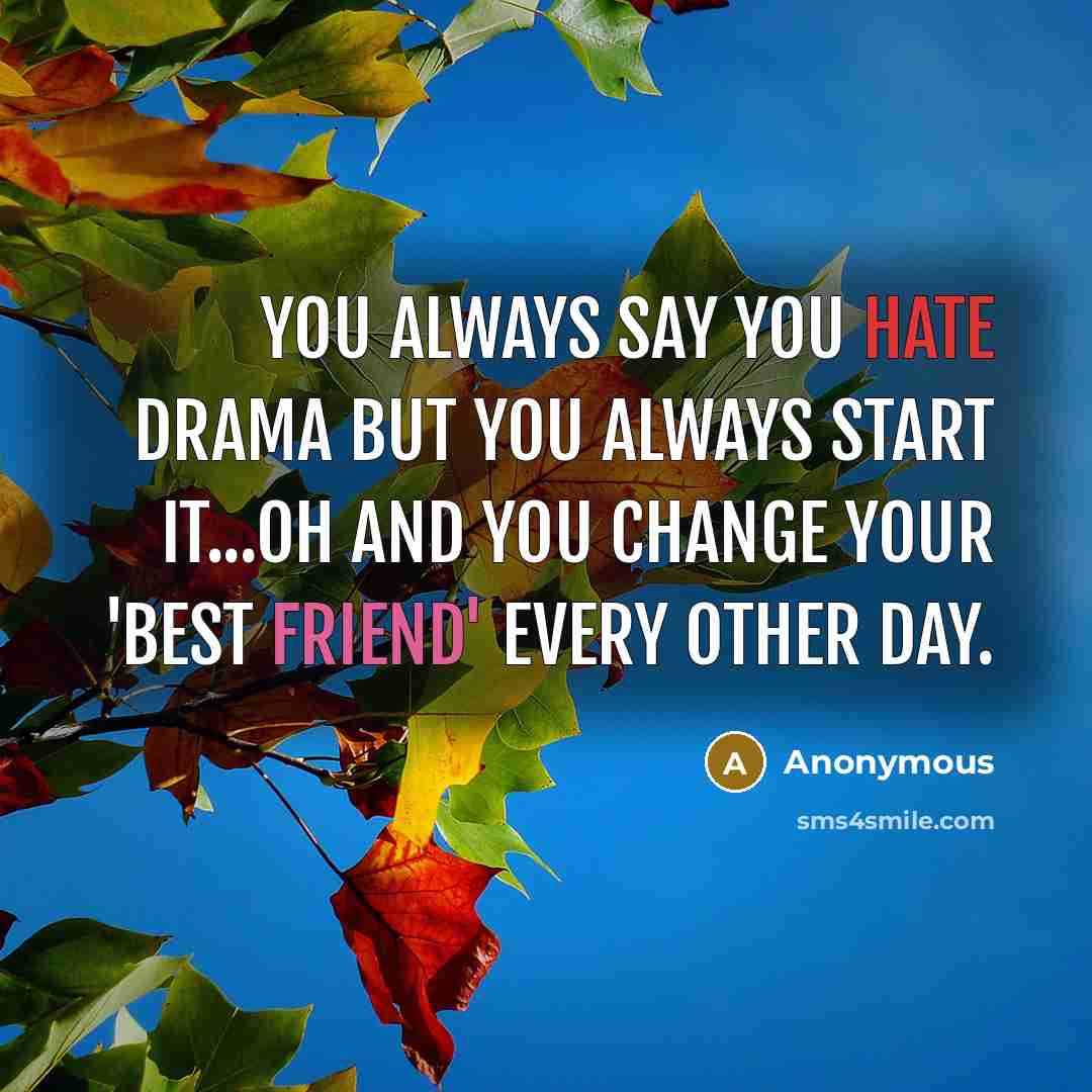 “You always say you hate drama but you always start it...oh and you change your 'best friend' every other day.” quote by Anonymous