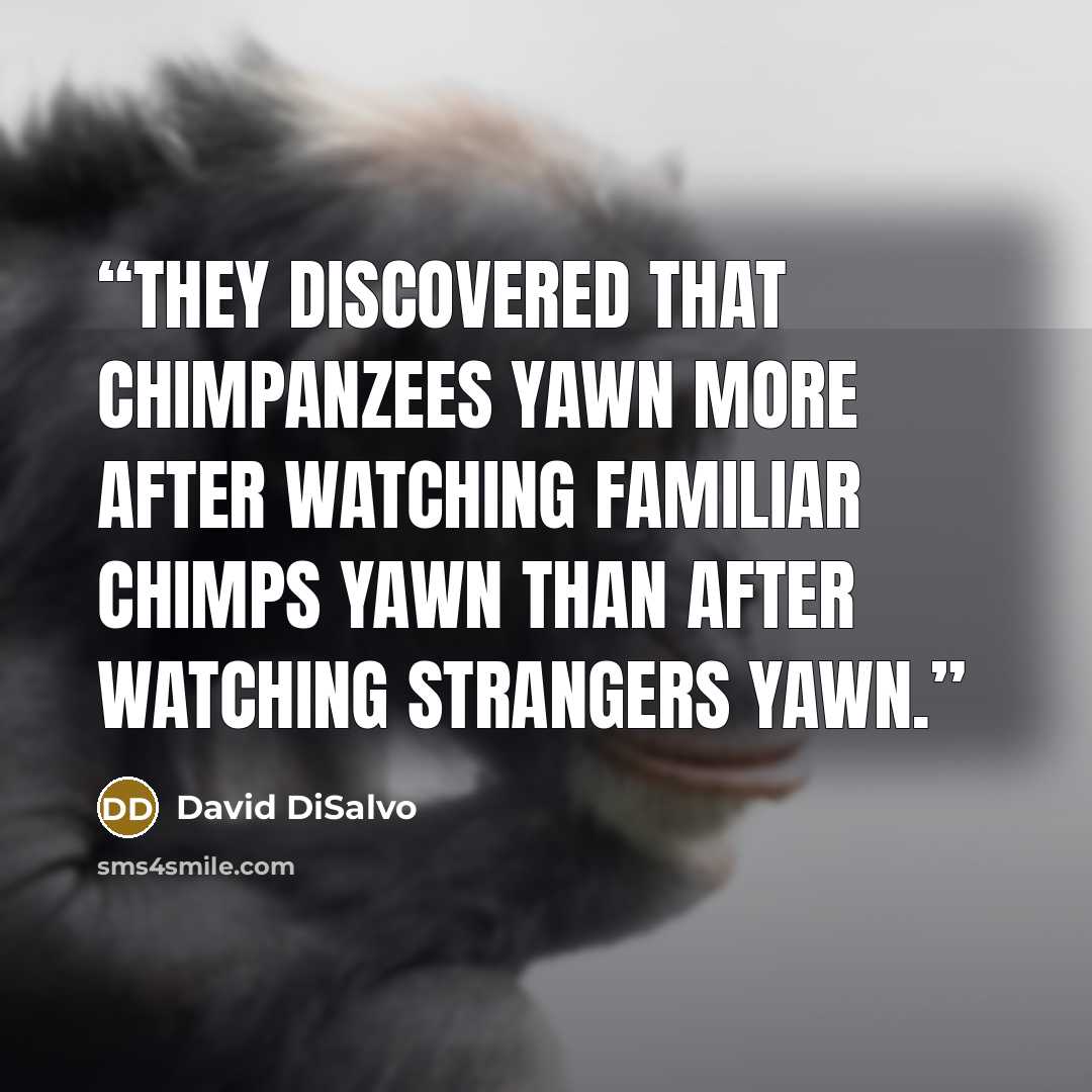 “They discovered that chimpanzees yawn more after watching familiar chimps yawn than after watching strangers yawn.” quote by David DiSalvo