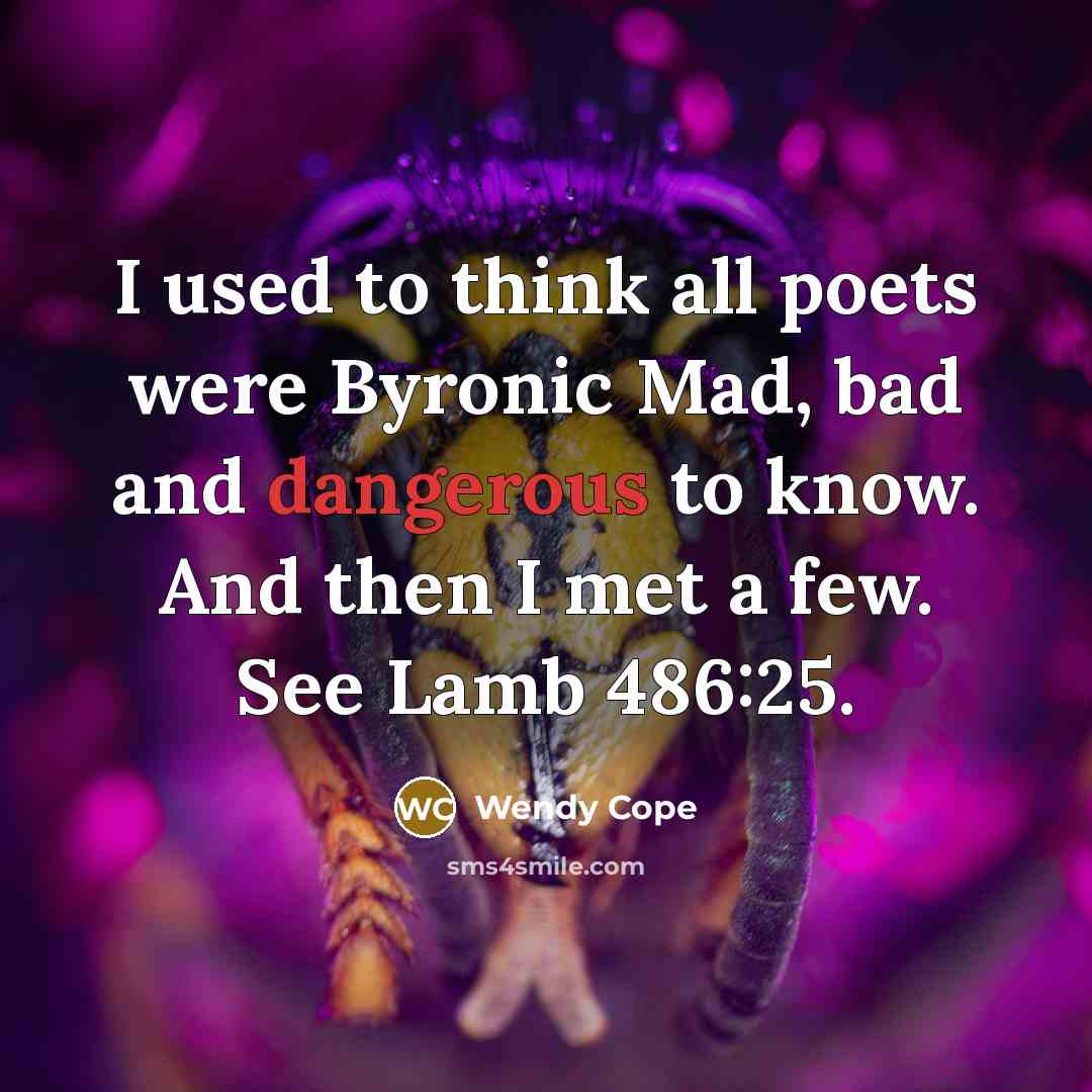 “I used to think all poets were Byronic Mad, bad and dangerous to know. And then I met a few. See Lamb 486:25.” quote by Wendy Cope