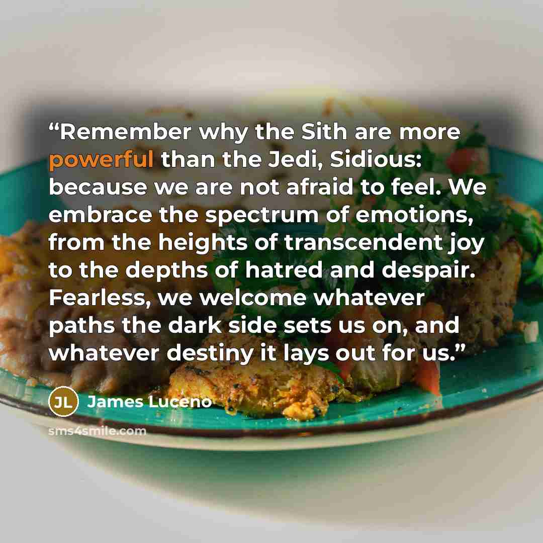 “Remember why the Sith are more powerful than the Jedi, Sidious: because we are not afraid to feel. We embrace the spectrum of emotions, from the heights of transcendent joy to the depths of hatred and despair. Fearless, we welcome whatever paths the dark side sets us on, and whatever destiny it…” quote by James Luceno