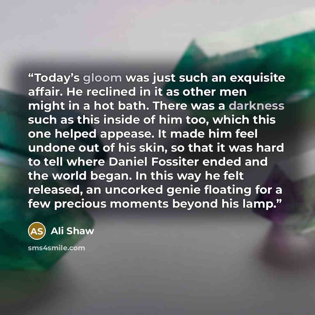“Today’s gloom was just such an exquisite affair. He reclined in it as other men might in a hot bath. There was a darkness such as this inside of him too, which this one helped appease. It made him feel undone out of his skin, so that it was hard to tell where Daniel Fossiter ended and the world…” quote by Ali Shaw