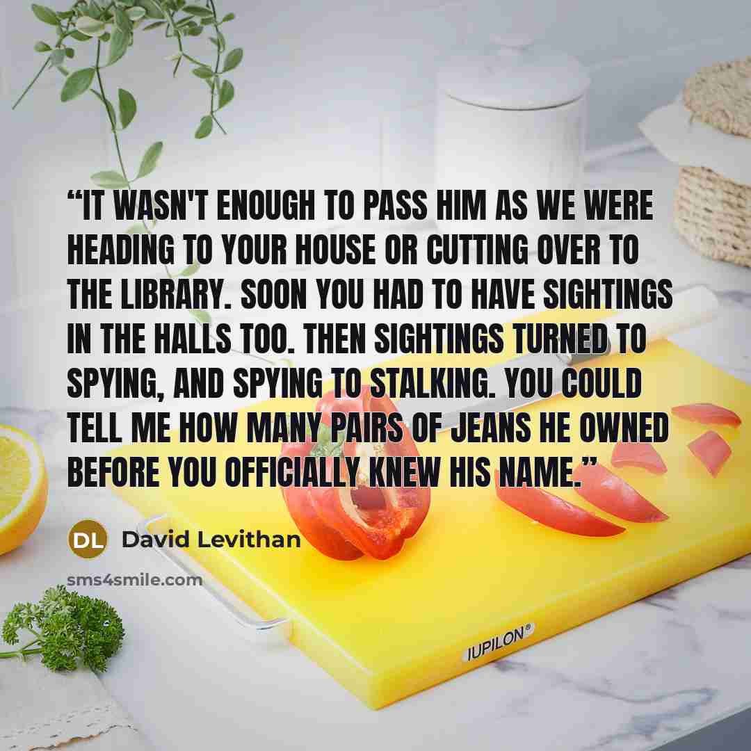 “It wasn't enough to pass him as we were heading to your house or cutting over to the library. Soon you had to have sightings in the halls too. Then sightings turned to spying, and spying to stalking. You could tell me how many pairs of jeans he owned before you officially knew his name.” quote by David Levithan