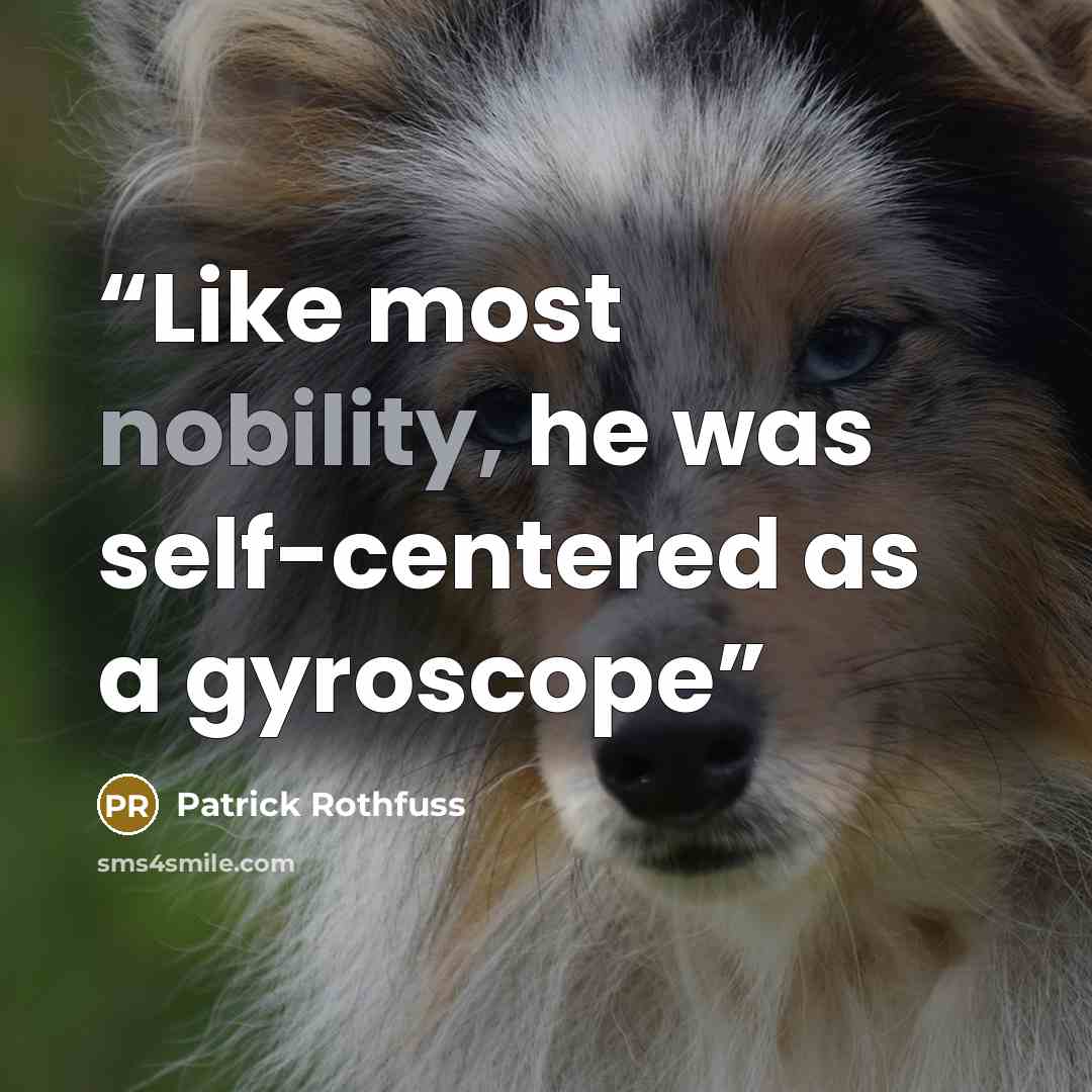 “Like most nobility, he was self-centered as a gyroscope” quote by Patrick Rothfuss