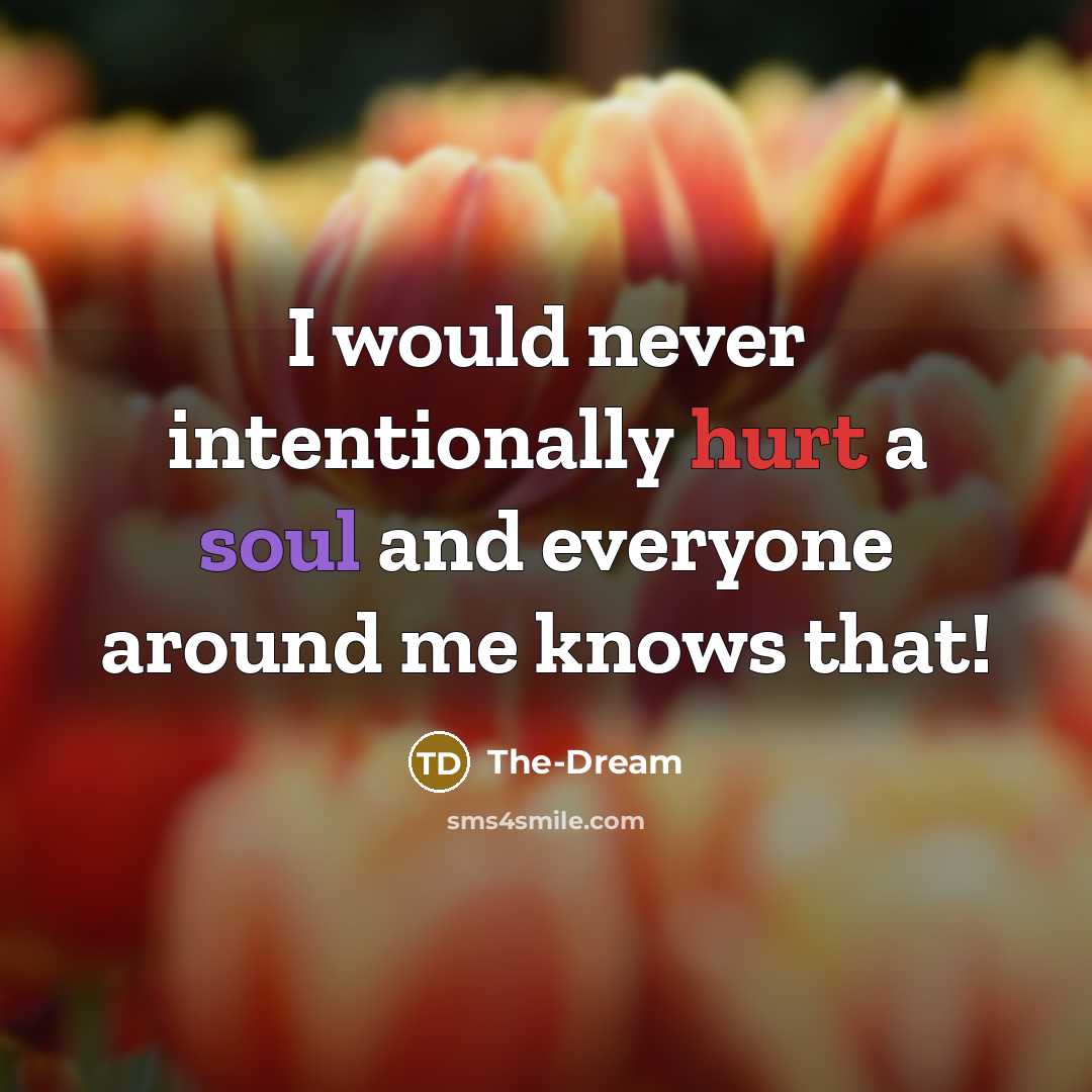 “I would never intentionally hurt a soul and everyone around me knows that!” quote by The-Dream