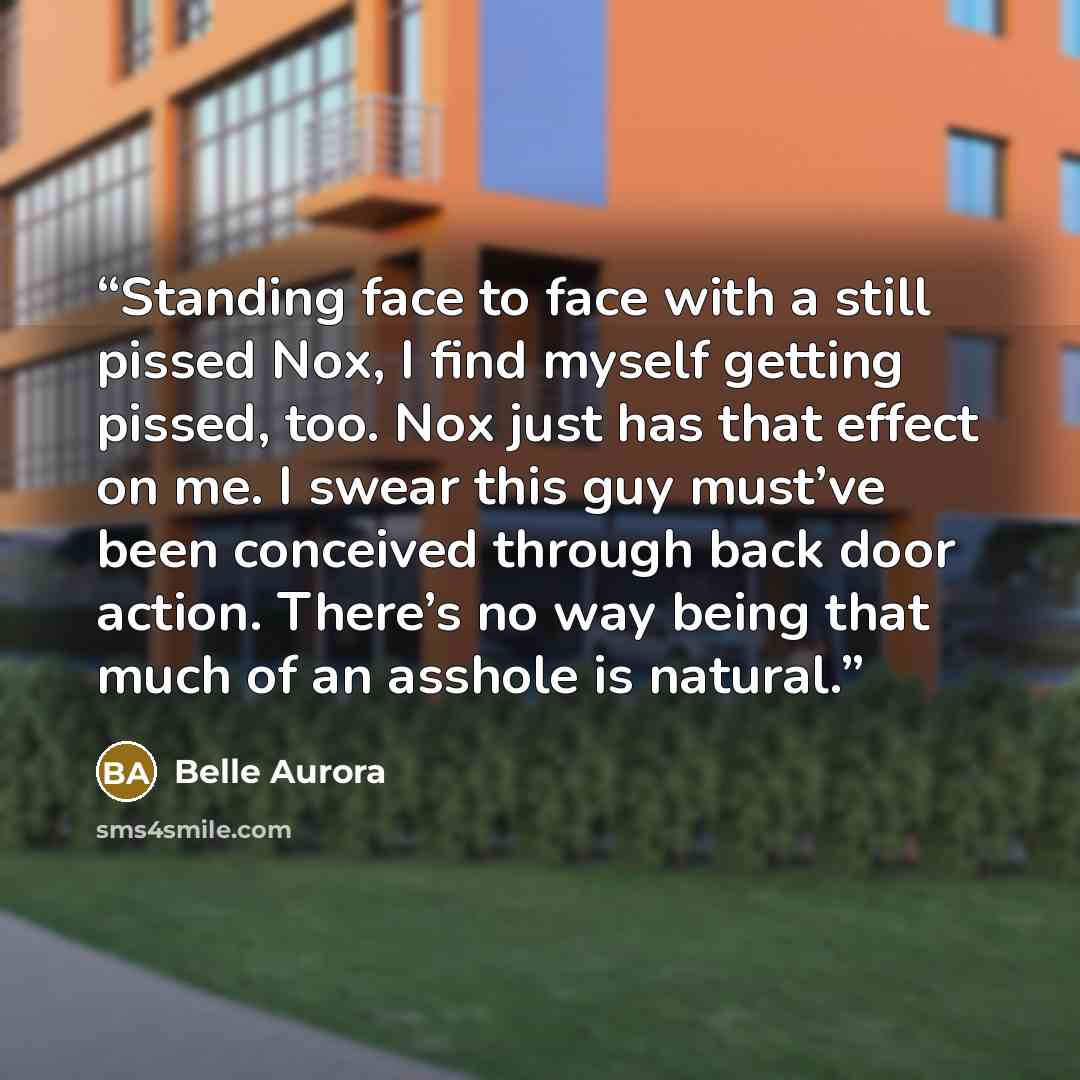 “Standing face to face with a still pissed Nox, I find myself getting pissed, too. Nox just has that effect on me. I swear this guy must’ve been conceived through back door action. There’s no way being that much of an asshole is natural.” quote by Belle Aurora
