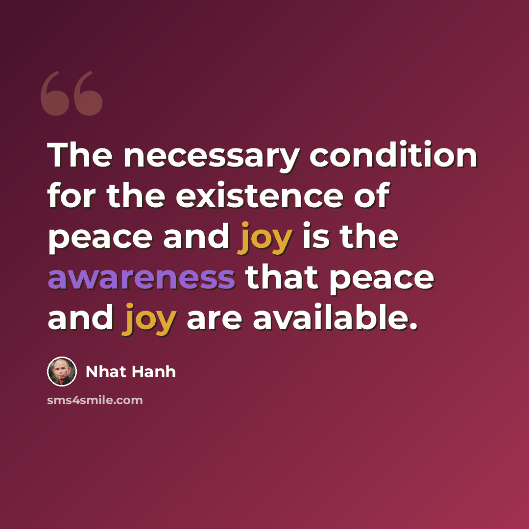 “The necessary condition for the existence of peace and joy is the awareness that peace and joy are available.” quote by Nhat Hanh