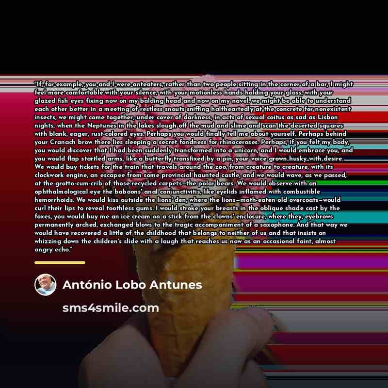 “If, for example, you and I were anteaters, rather than two people sitting in the corner of a bar, I might feel more comfortable with your silence, with your motionless hands holding your glass, with your glazed fish eyes fixing now on my balding head and now on my navel, we might be able to…” quote by António Lobo Antunes