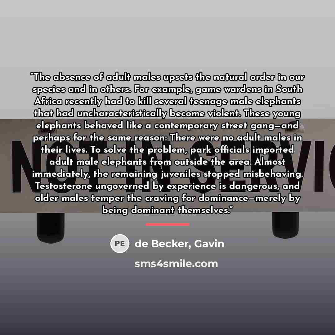 “The absence of adult males upsets the natural order in our species and in others. For example, game wardens in South Africa recently had to kill several teenage male elephants that had uncharacteristically become violent. These young elephants behaved like a contemporary street gang—and perhaps…” quote by de Becker, Gavin