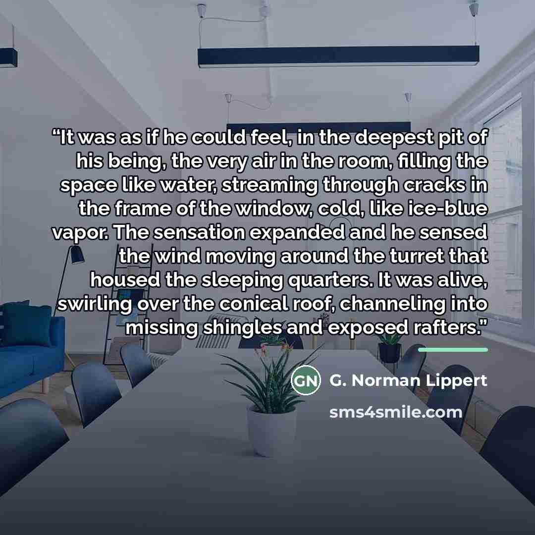 “It was as if he could feel, in the deepest pit of his being, the very air in the room, filling the space like water, streaming through cracks in the frame of the window, cold, like ice-blue vapor. The sensation expanded and he sensed the wind moving around the turret that housed the sleeping…” quote by G. Norman Lippert