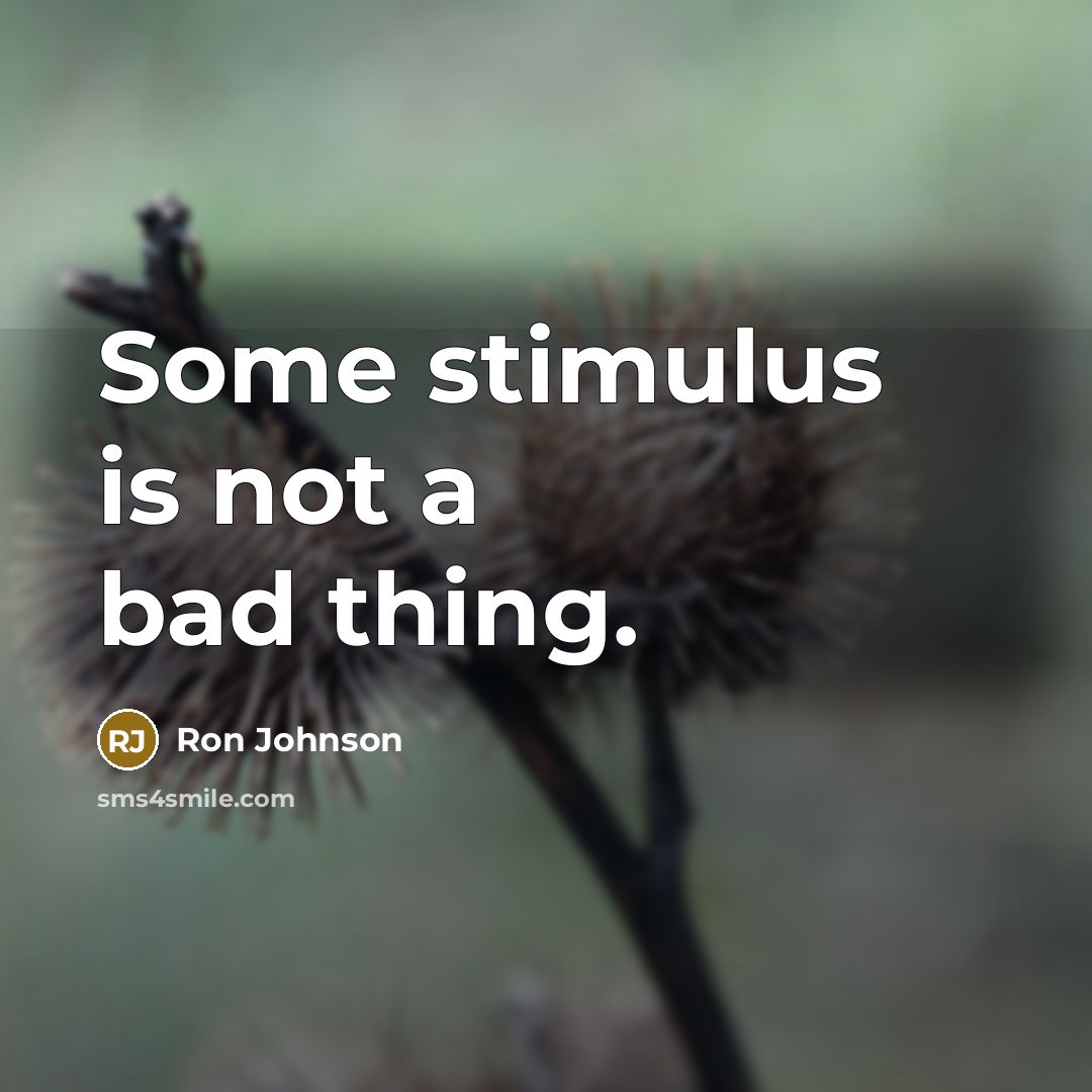 “Some stimulus is not a bad thing.” quote by Ron Johnson