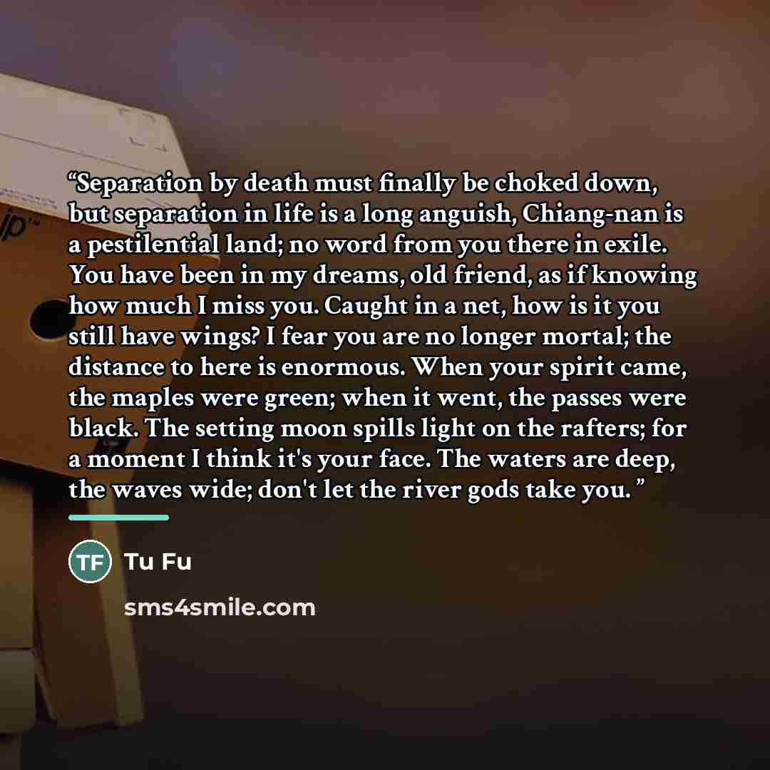 “Separation by death must finally be choked down, but separation in life is a long anguish, Chiang-nan is a pestilential land; no word from you there in exile. You have been in my dreams, old friend, as if knowing how much I miss you. Caught in a net, how is it you still have wings? I fear you are…” quote by Tu Fu