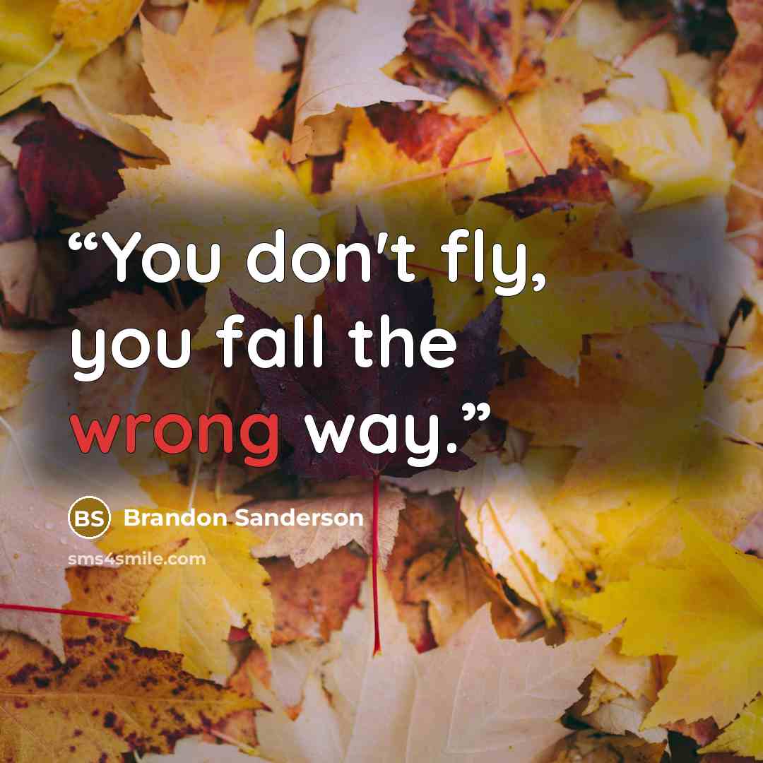 “You don't fly, you fall the wrong way.” quote by Brandon Sanderson