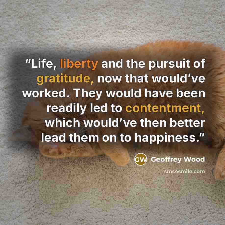 “Life, liberty and the pursuit of gratitude, now that would’ve worked. They would have been readily led to contentment, which would’ve then better lead them on to happiness.” quote by Geoffrey Wood