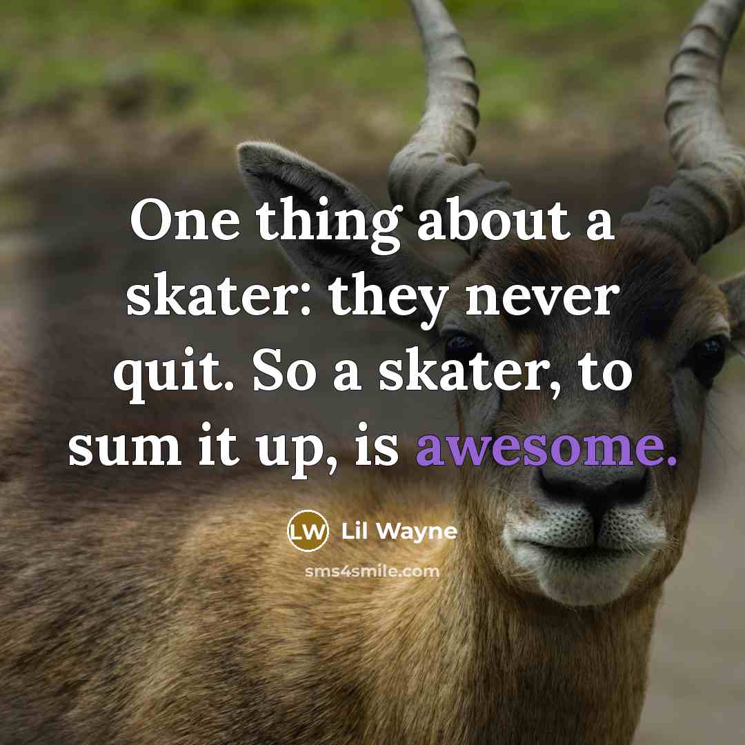 “One thing about a skater: they never quit. So a skater, to sum it up, is awesome.” quote by Lil Wayne