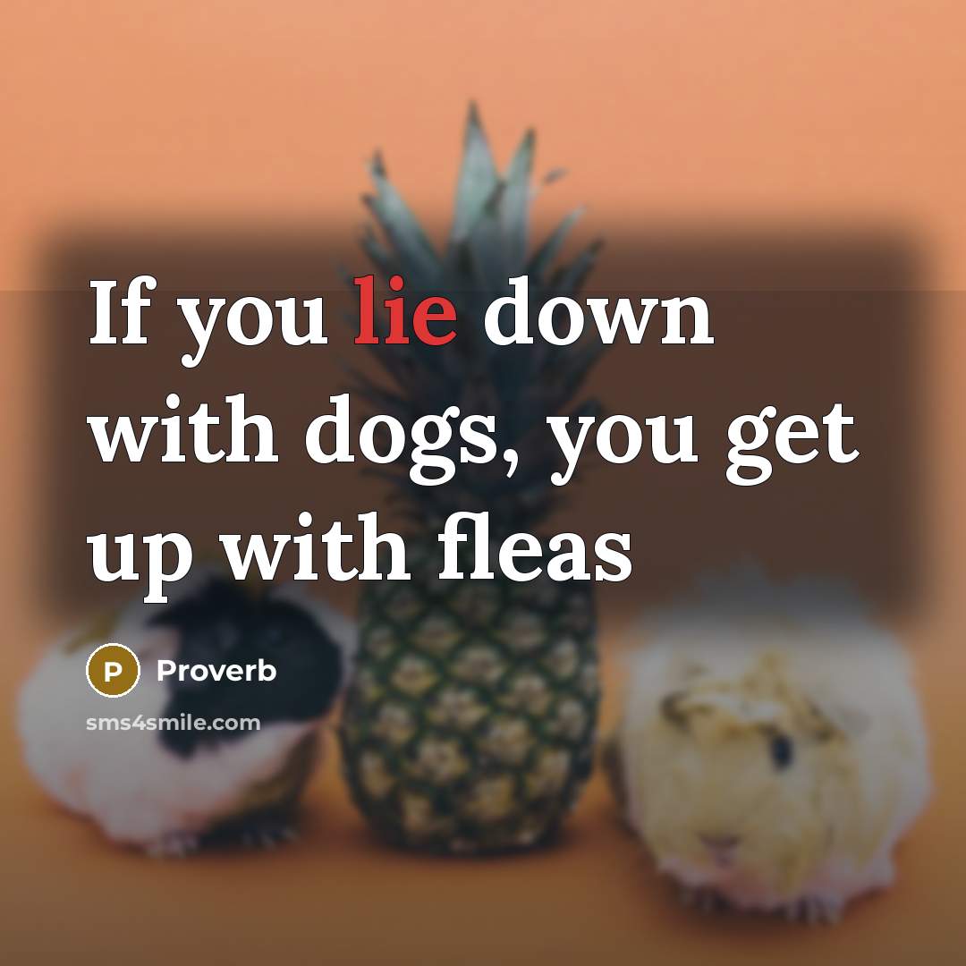 “If you lie down with dogs, you get up with fleas” quote by Proverb