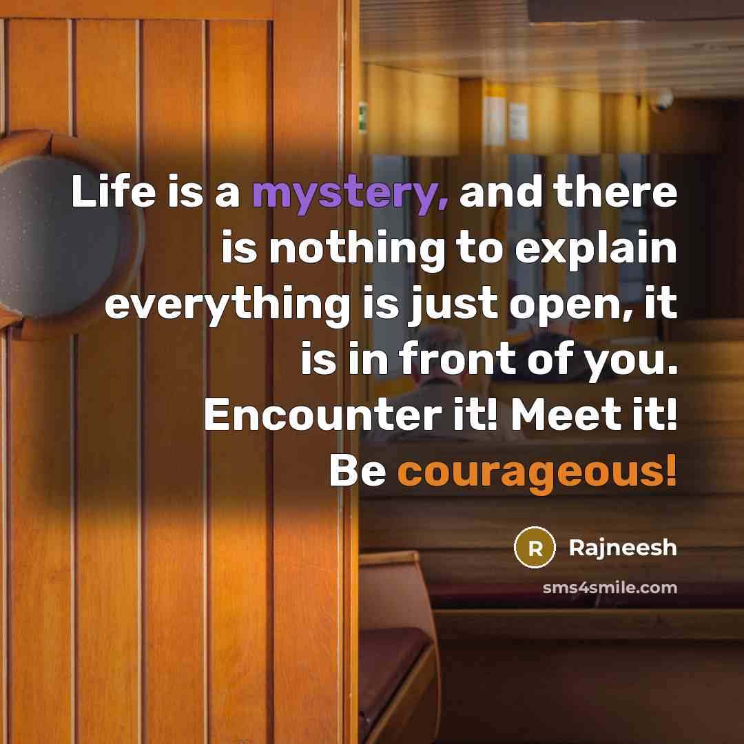 “Life is a mystery, and there is nothing to explain everything is just open, it is in front of you. Encounter it! Meet it! Be courageous!” quote by Rajneesh