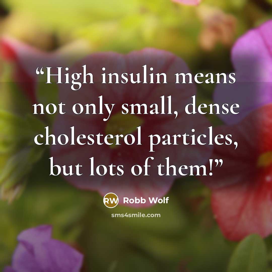 “High insulin means not only small, dense cholesterol particles, but lots of them!” quote by Robb Wolf