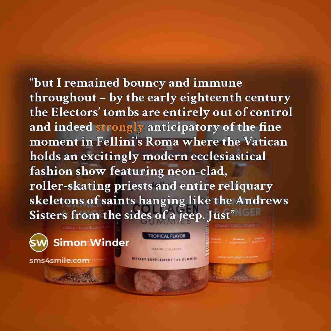 “but I remained bouncy and immune throughout – by the early eighteenth century the Electors’ tombs are entirely out of control and indeed strongly anticipatory of the fine moment in Fellini’s Roma where the Vatican holds an excitingly modern ecclesiastical fashion show featuring neon-clad…” quote by Simon Winder