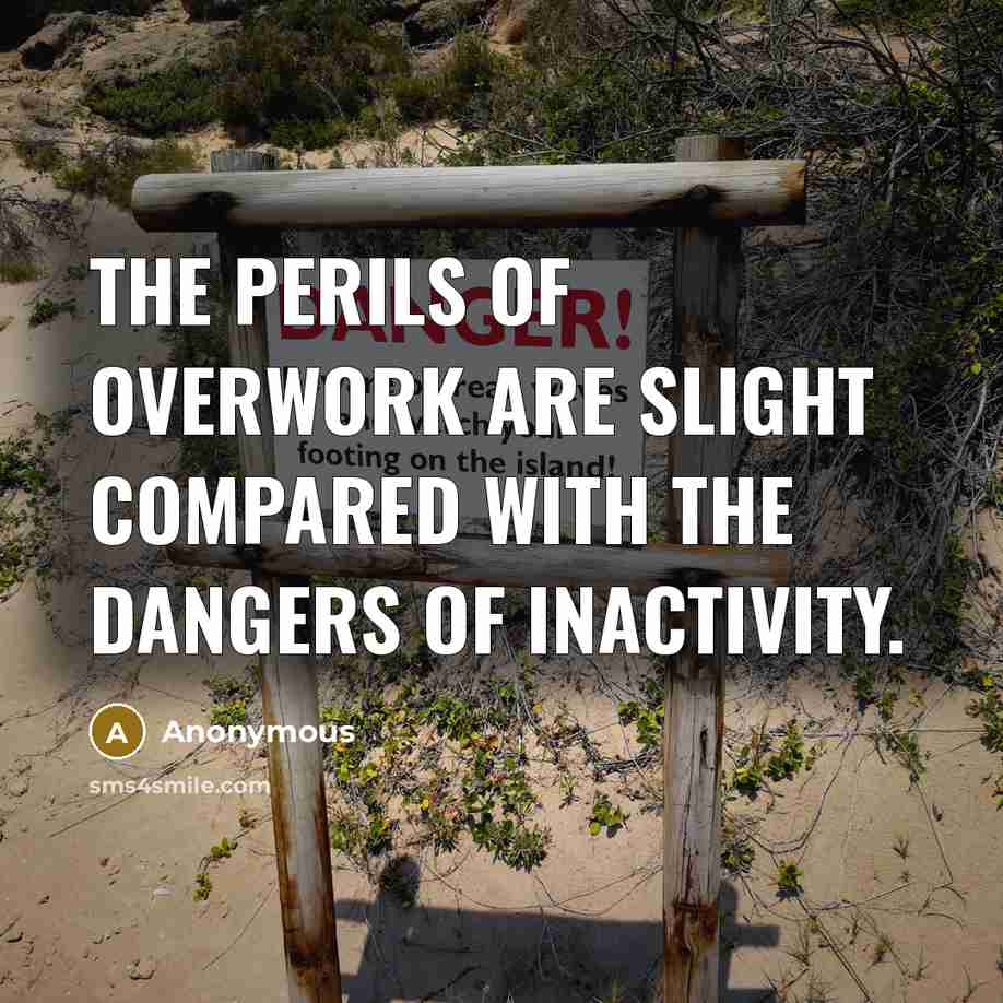 “The perils of overwork are slight compared with the dangers of inactivity.” quote by Anonymous