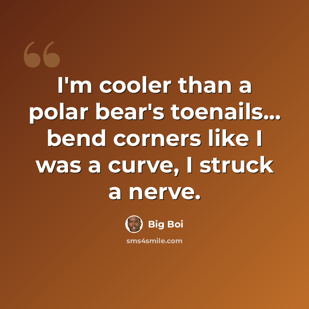 “I'm cooler than a polar bear's toenails... bend corners like I was a curve, I struck a nerve.” quote by Big Boi