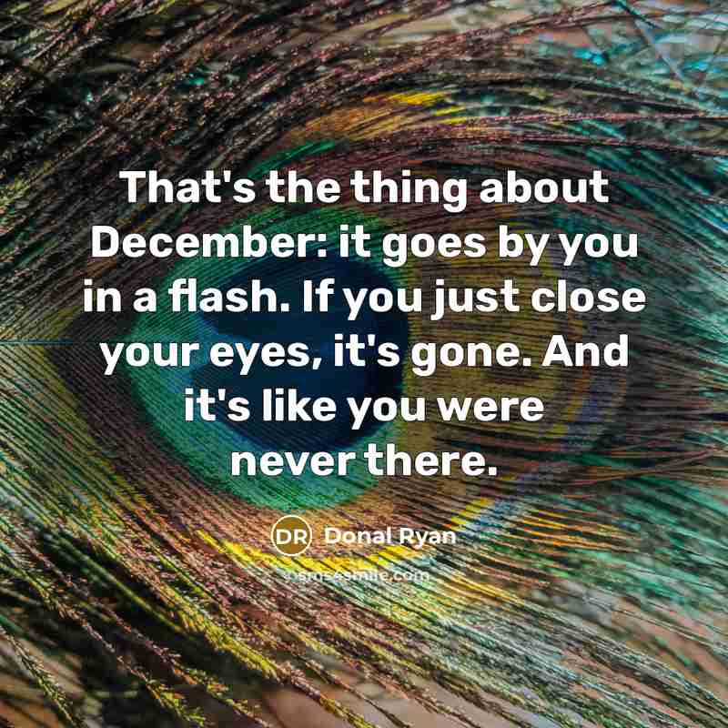 “That's the thing about December: it goes by you in a flash. If you just close your eyes, it's gone. And it's like you were never there.” quote by Donal Ryan